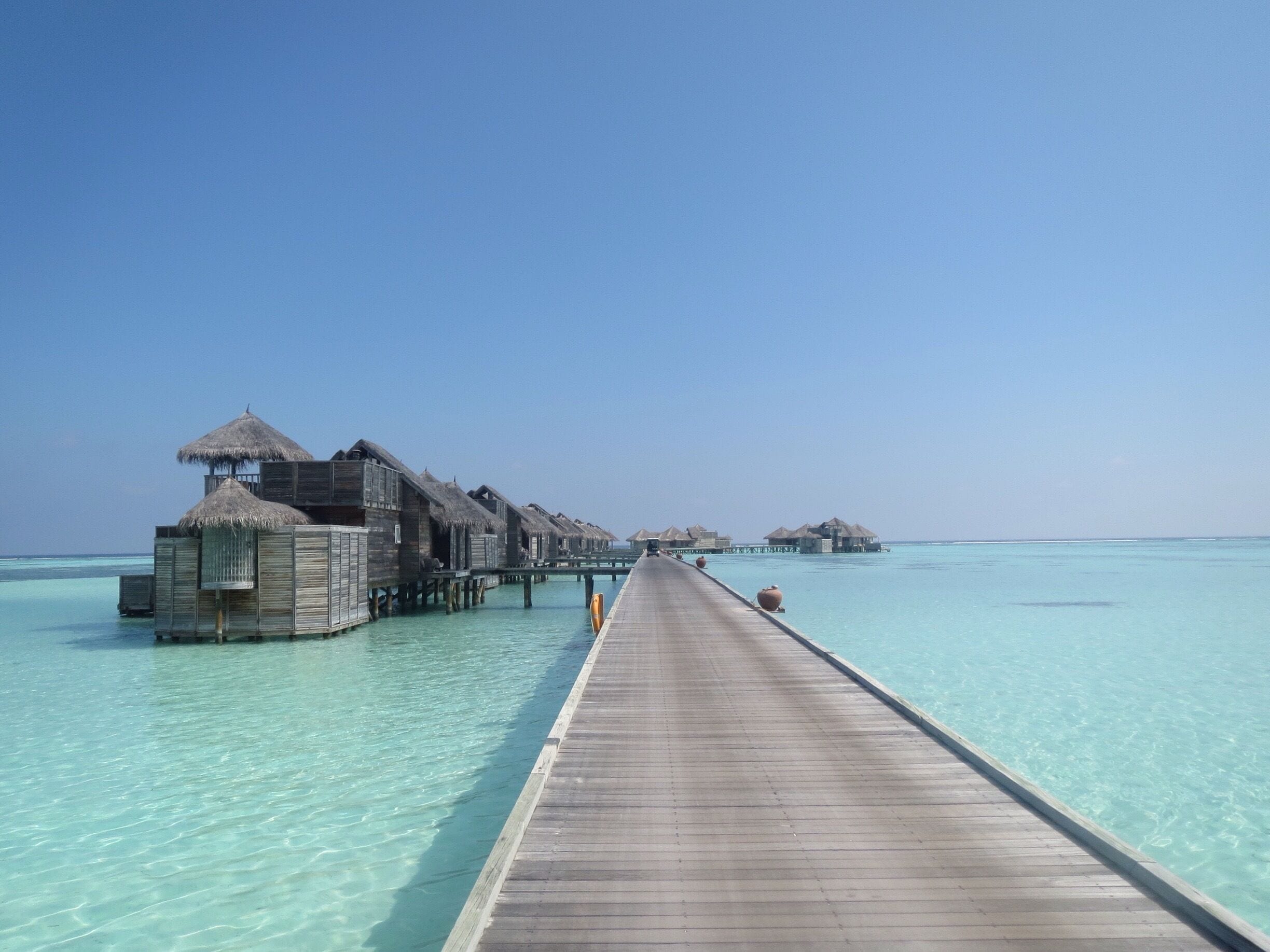 Doesn't get much better than this...