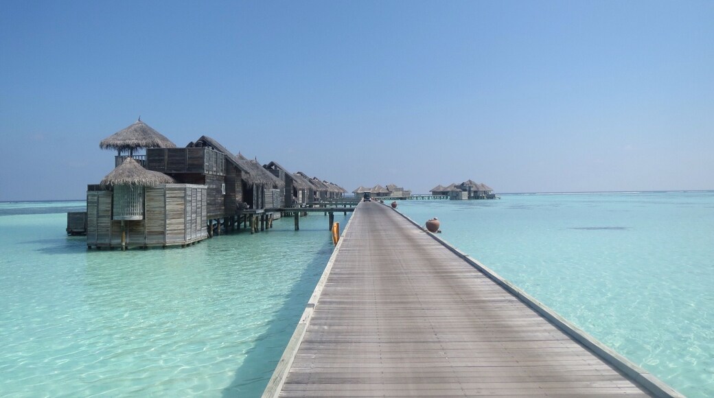 Doesn't get much better than this...