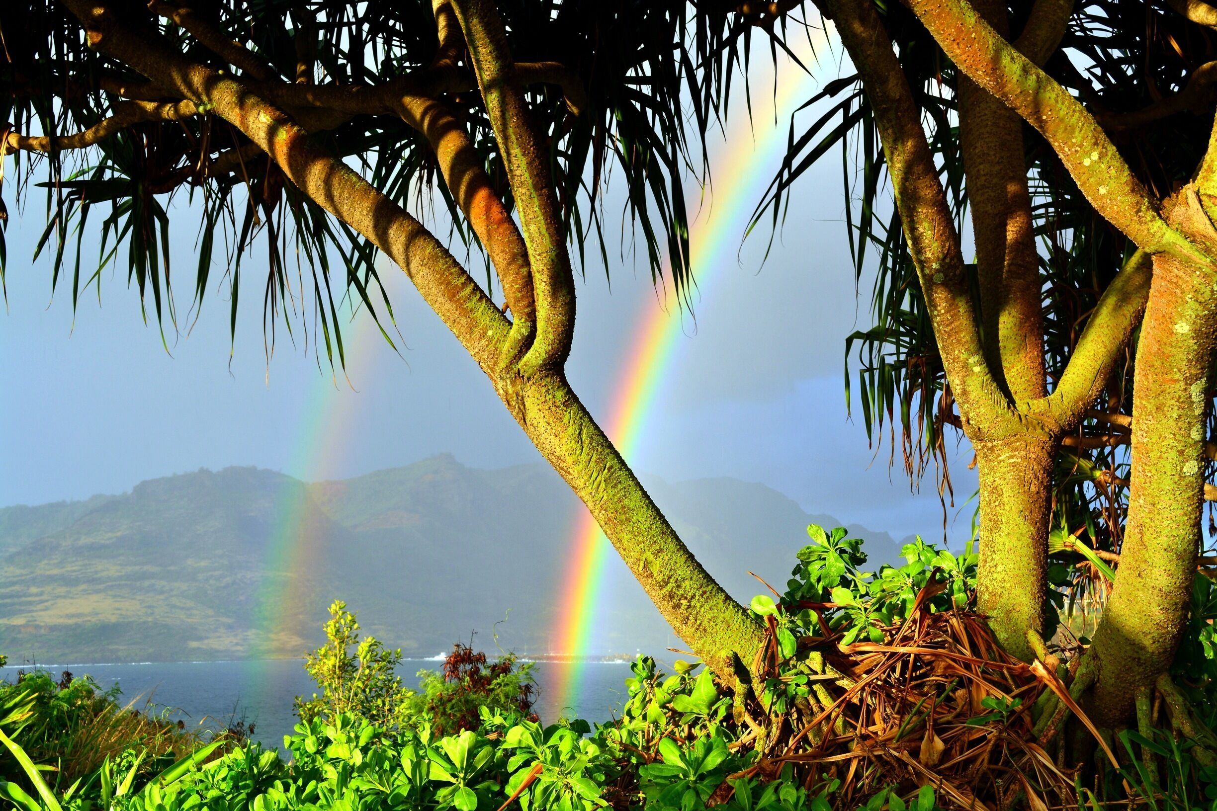 During an sunrise hike, a brief soaking rain shower popped up.  After only a few minutes, the rain shower began to wain and the sun broke through the clouds giving way to this gorgeous double #rainbow arching over Nawiliwili Harbor.  It was a right place, right time moment. #hiking #kauai #hawaii #colorful