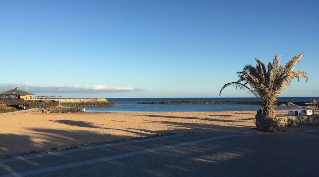 So peaceful #EndlessSummer