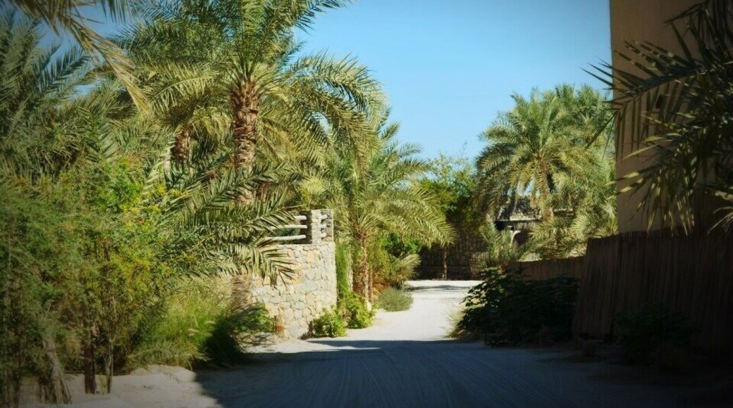 Palms and lush greens in the resort.