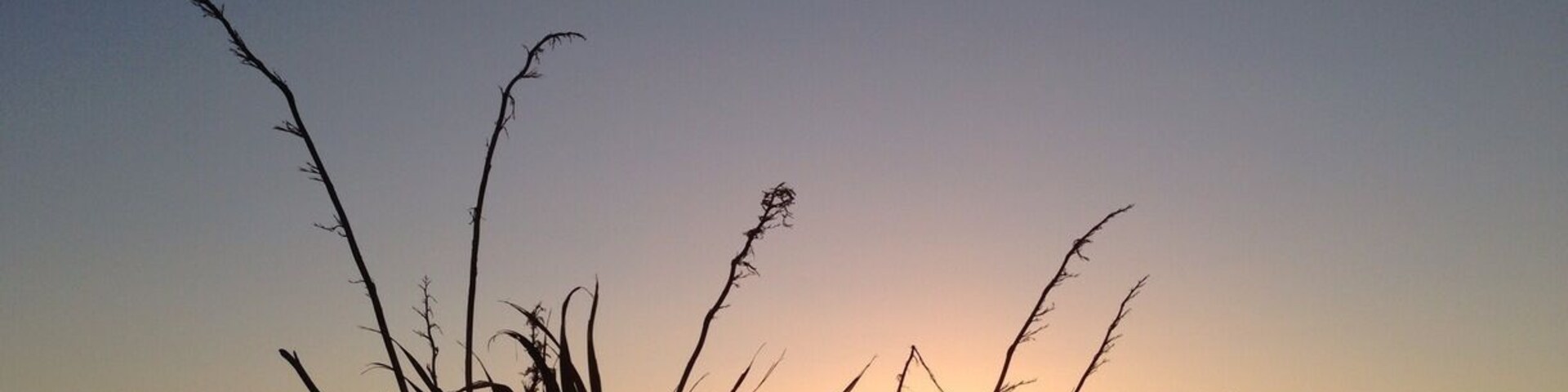 Sunset behind our lodge