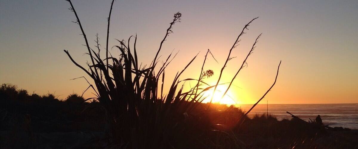 A sunset over a beach with silhouetted plants and a visible moon.