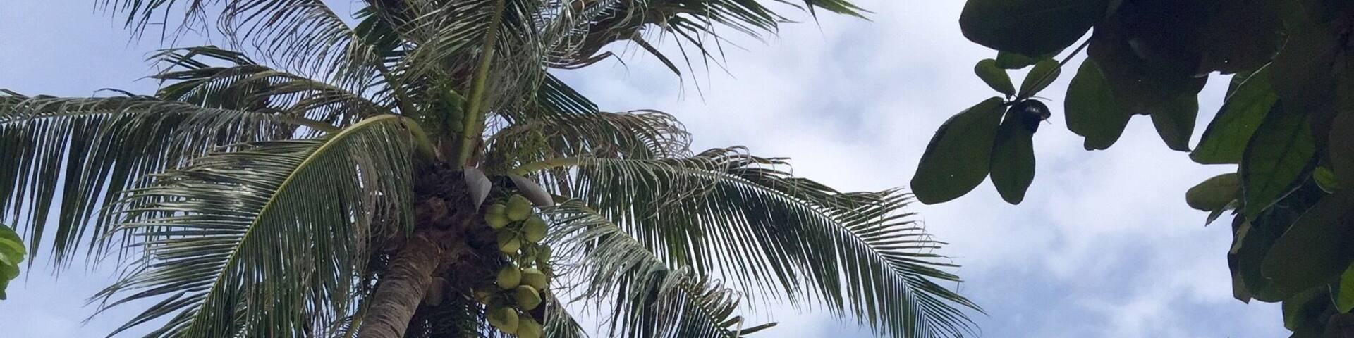 #lifeatexpedia #beachtips