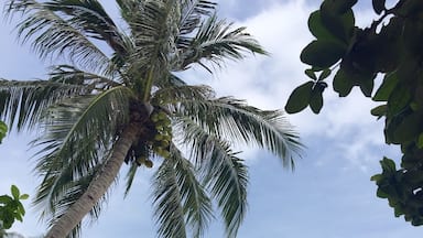 #lifeatexpedia #beachtips