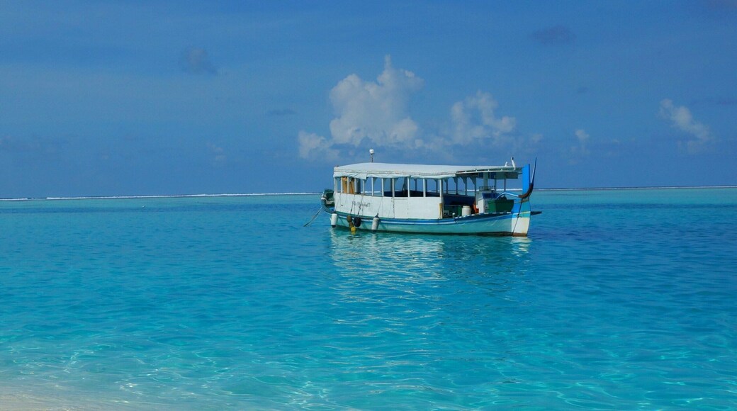 Took a ferry to St. John with friends. Enjoyed a beautiful day of snorkeling.