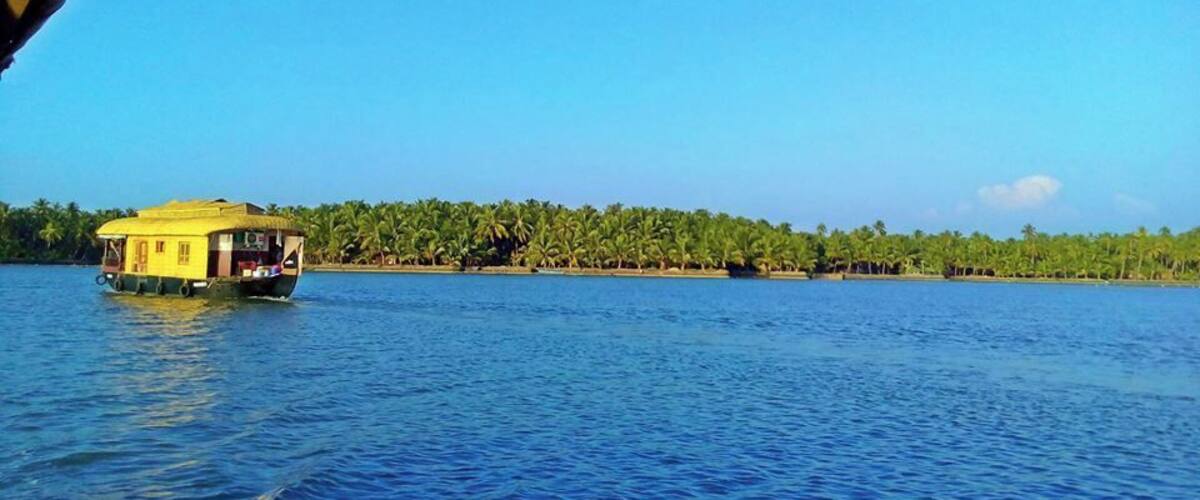 A yellow boat on a calm blue sea with a line of palm trees in the background.