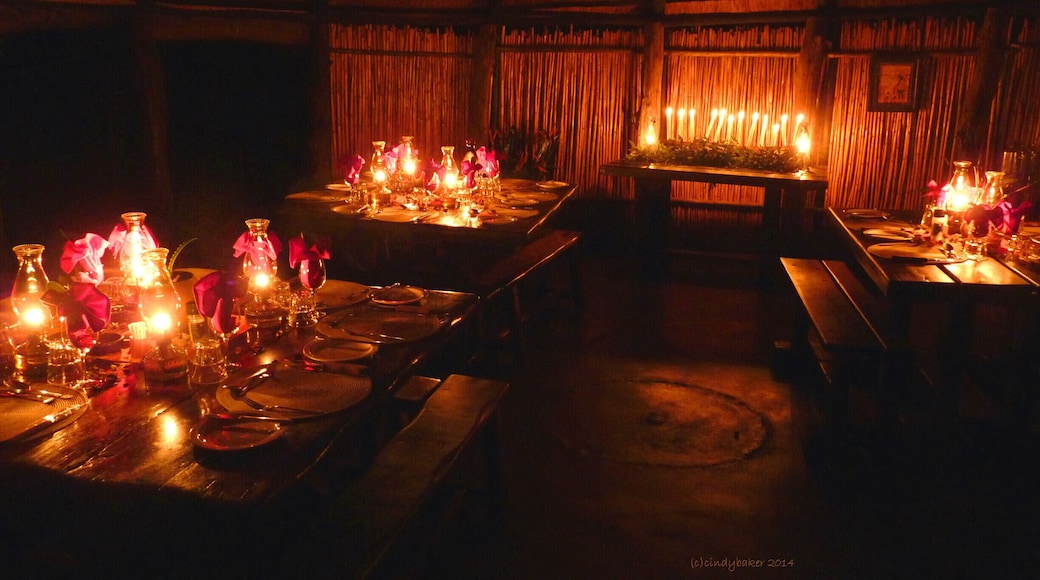 Dinner unplugged at this camp in Kruger National Park. Our guide, Elvis, guaranteed sightings of all of the big five here, and he delivered.