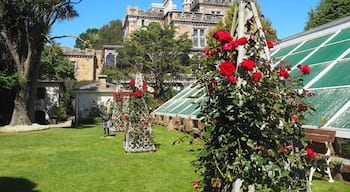 Rose garden on the premises of Larnach Castle, on the hills of the Otago Peninsula very close to Dunedin, New Zealand. Entrance fee is only NZD15 and for that you can spend hours admiring the garden, not just roses but plentiful of other rare species of flowers and plants.