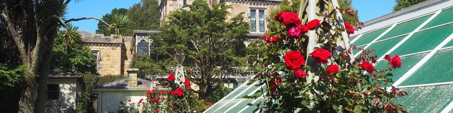 Rose garden on the premises of Larnach Castle, on the hills of the Otago Peninsula very close to Dunedin, New Zealand. Entrance fee is only NZD15 and for that you can spend hours admiring the garden, not just roses but plentiful of other rare species of flowers and plants.