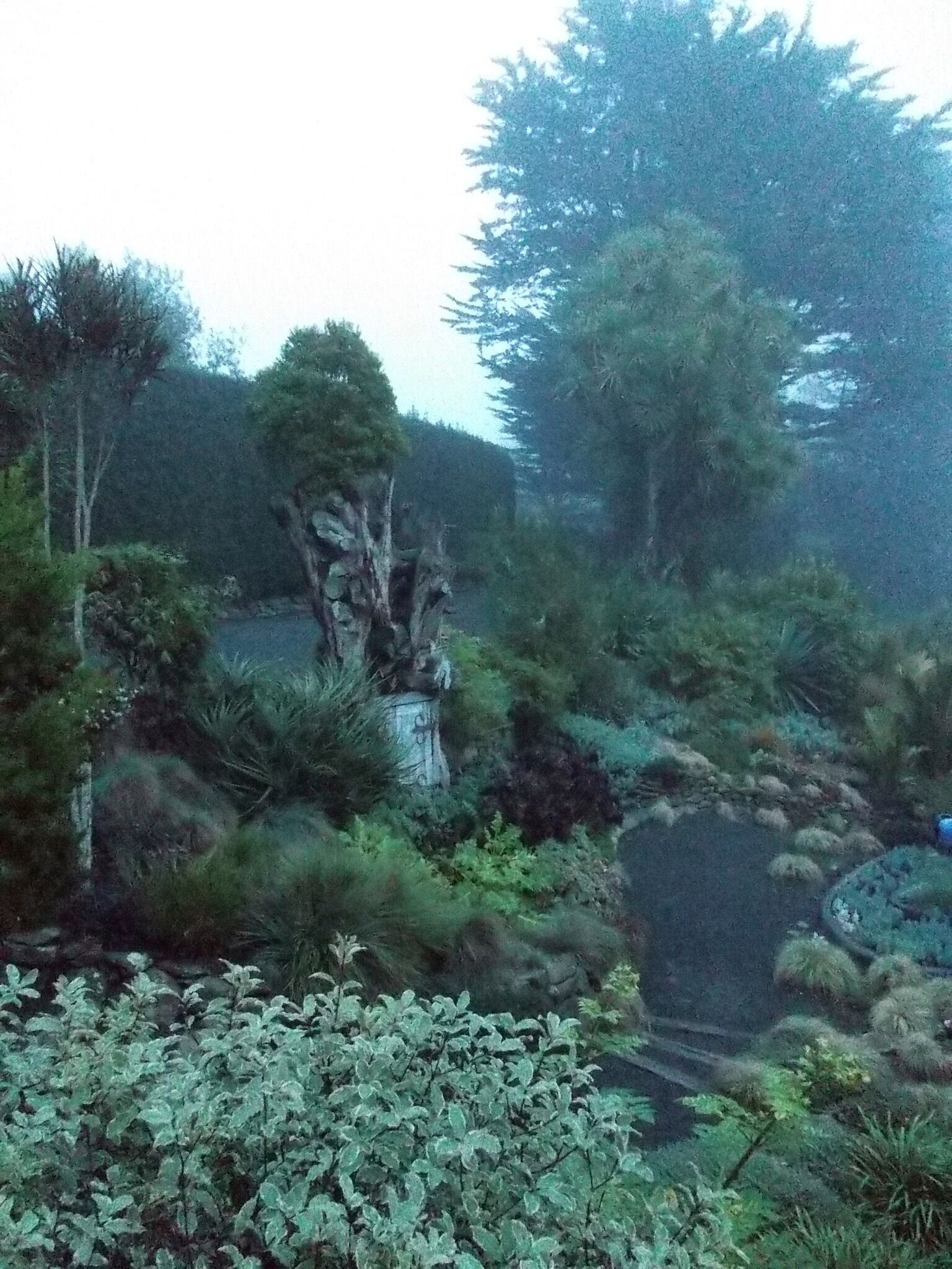 Secret door in one of the garden!