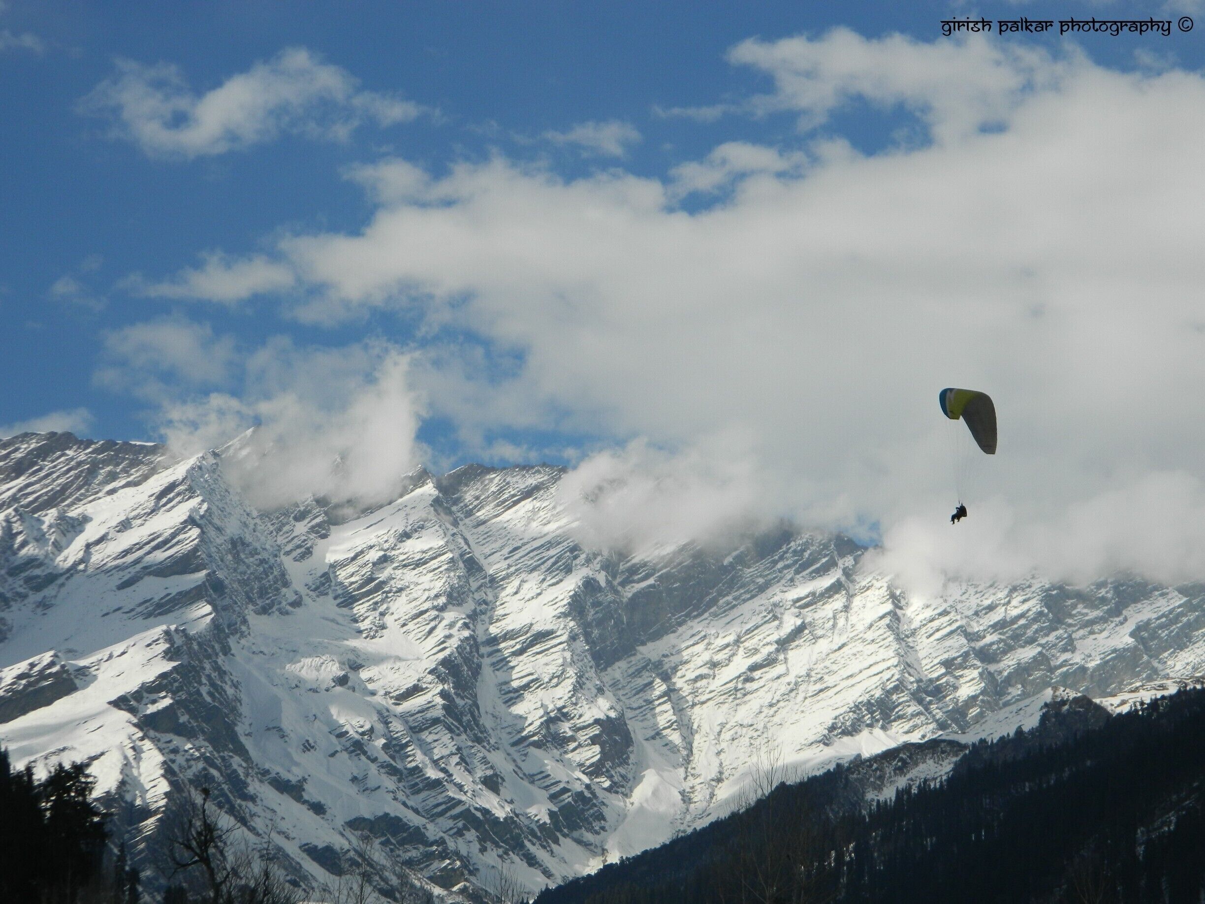 A paraglider flying over snow-covered mountains with a forested valley below.