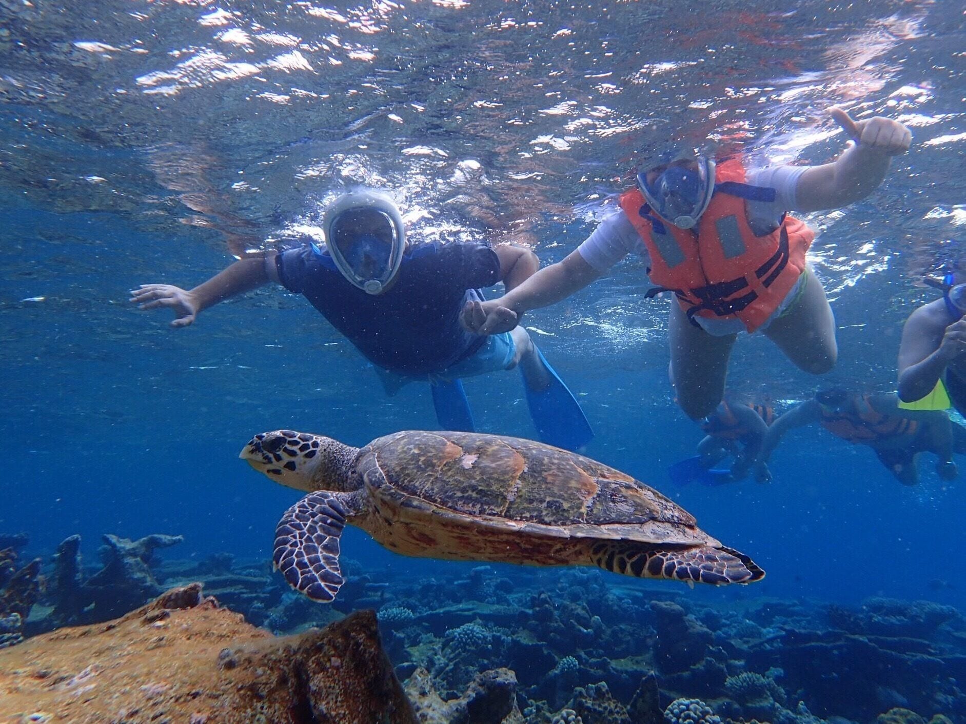 My very first snorkeling trip- and I can't swim 😍
