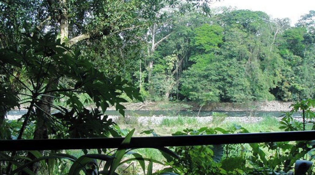 The Sarapiqui River, pre-gigantic rainstorm.