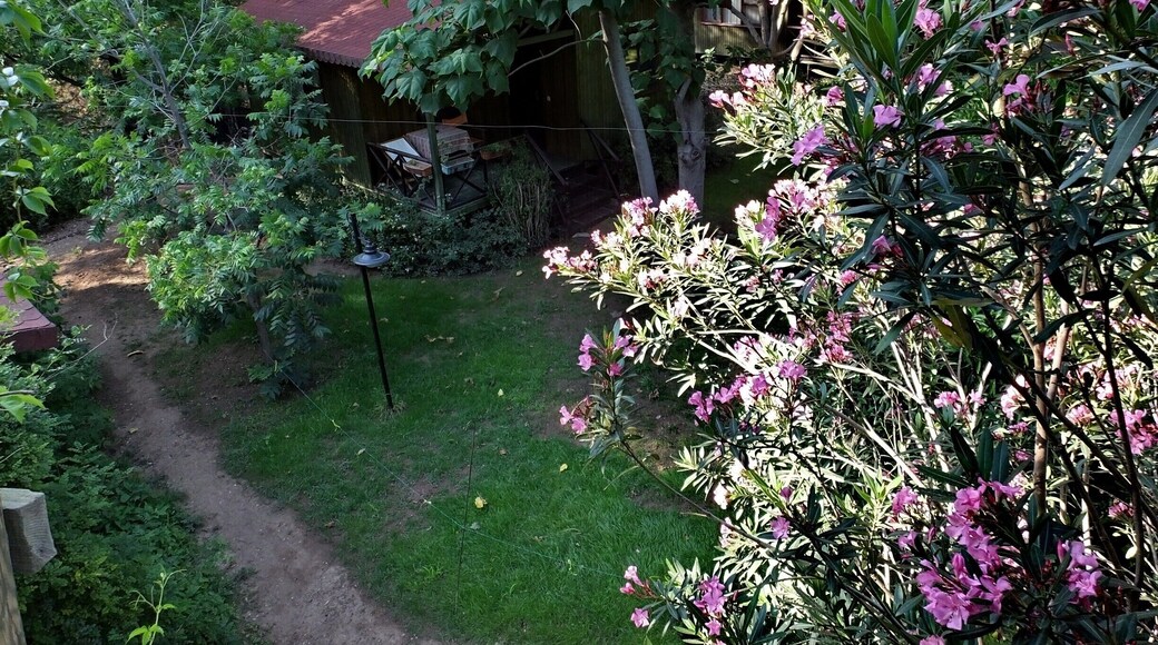 KIBALA HOTEL
Is located in the small coastal village of Cirali,75 kilometres west of Antalya in the National Park of the Beydağlar mountains.