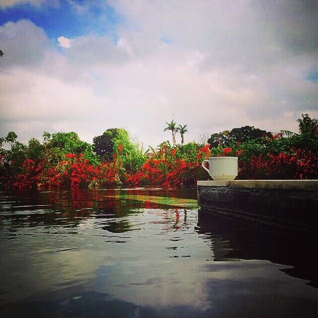 My morning coffee in the pool. Paradise. If you come to Bali, rent a villa. Affordable and you can wake up each morning to an infinity pool and get a massage each night- for a great price!