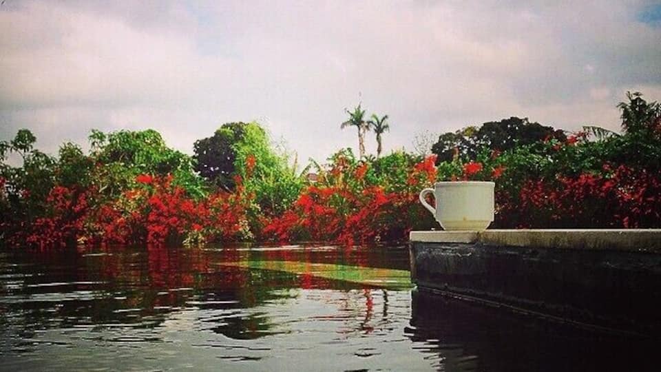 My morning coffee in the pool. Paradise. If you come to Bali, rent a villa. Affordable and you can wake up each morning to an infinity pool and get a massage each night- for a great price!