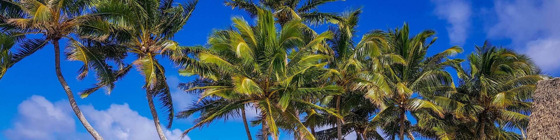 Infinity pool at little polynesian resort
