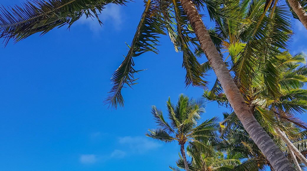 Little polynesian beach