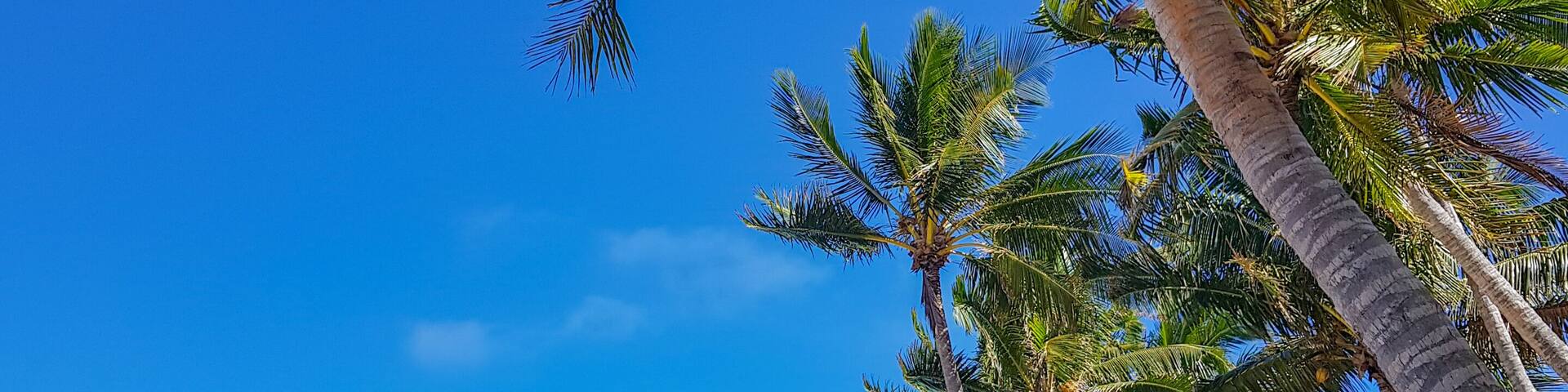 A beach with palm trees, a kayak, and lounge chairs.
