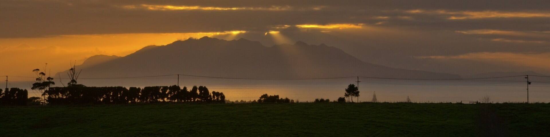 Sunrise on the vineyard