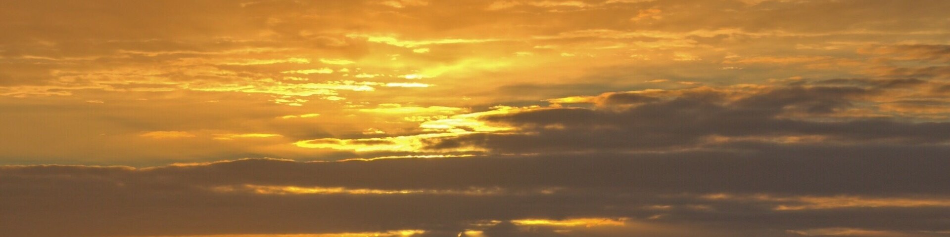 Sunrise on the vineyard