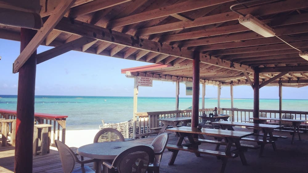 Oh this? Just the most amazing snorkeling spot and beachside bar in pretty much the entire world 🏖🌴🏊🏽🐠🐢🍻
#freeport #bahamas #paradisecove #deadmansreef