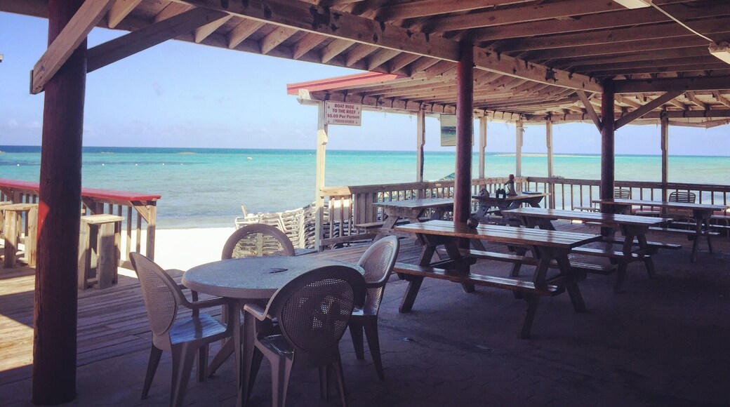 Oh this? Just the most amazing snorkeling spot and beachside bar in pretty much the entire world 🏖🌴🏊🏽🐠🐢🍻
#freeport #bahamas #paradisecove #deadmansreef