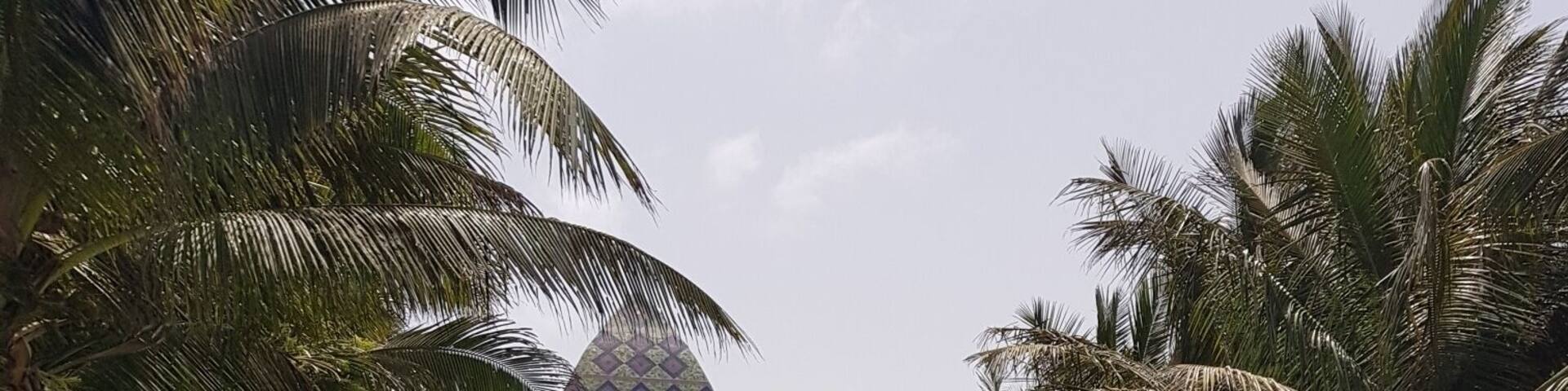 A swimming pool with a geometric tile pattern, surrounded by palm trees and a building with arches and a dome.