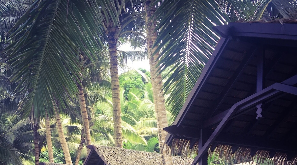 Adults Only Paradise #southpacific #samoa #travel #couples #friends #honeymoon #babymoon #siholidays