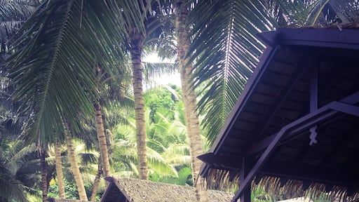 Adults Only Paradise #southpacific #samoa #travel #couples #friends #honeymoon #babymoon #siholidays