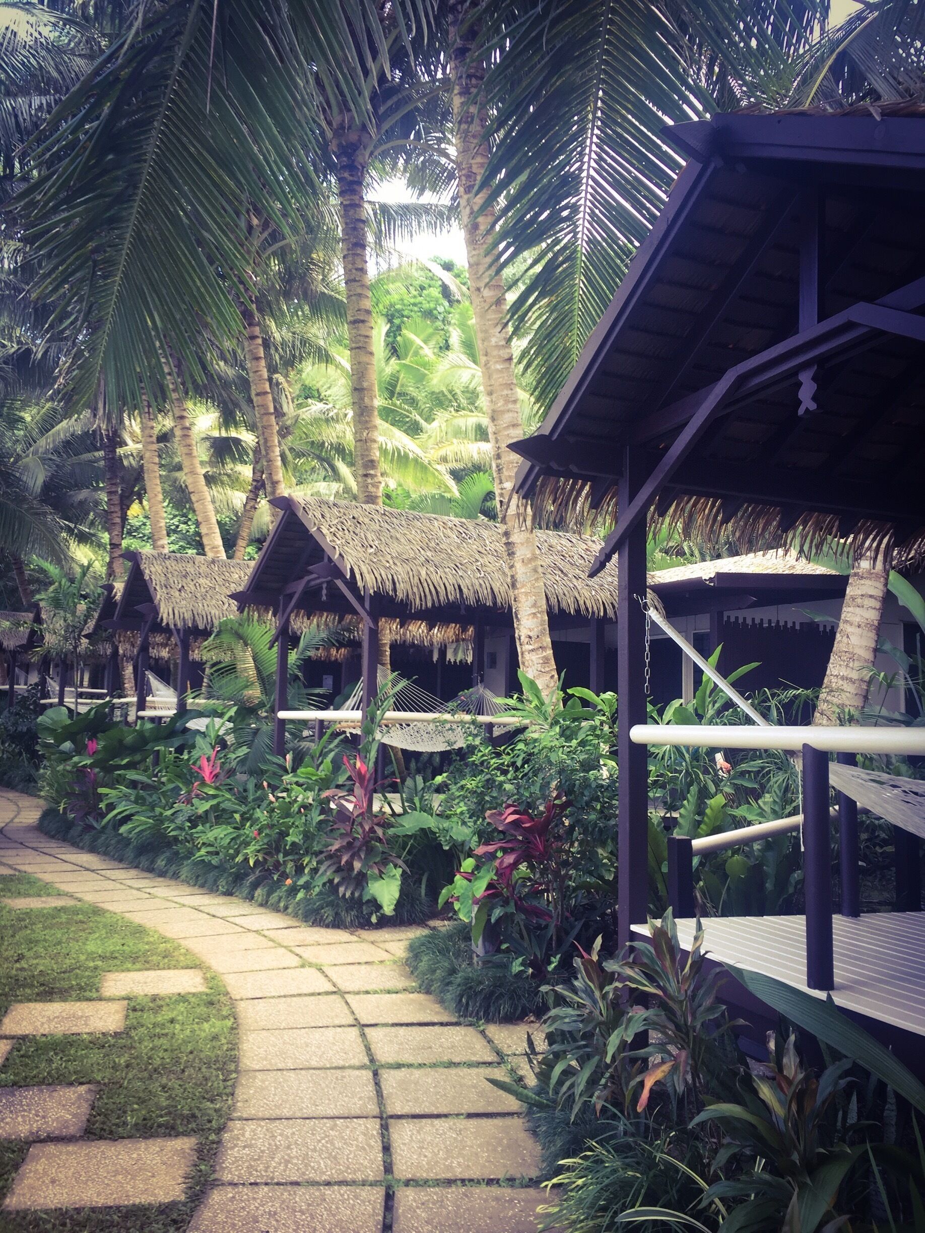A tropical resort with thatched-roof huts, palm trees, and a paved pathway.