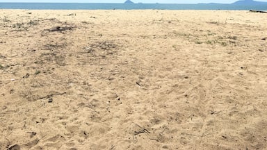 Tok aman bali beach in kelantan