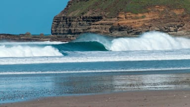 Beautiful surf beach with offshore winds.
#Blue #beachtips