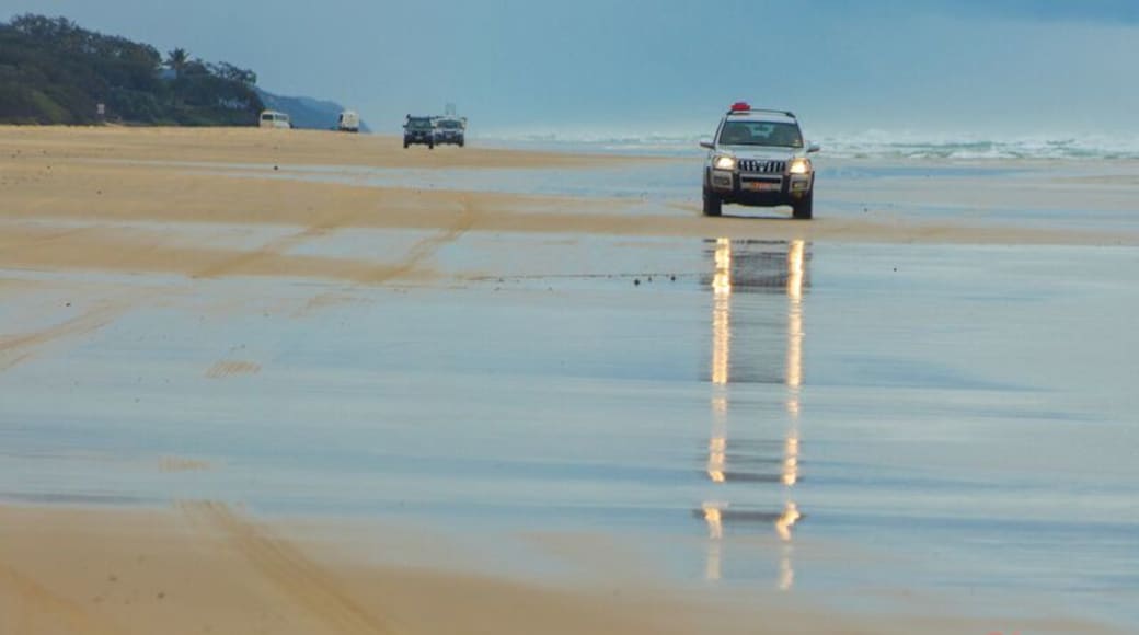 Kingfisher Bay Resort has a range of activities and tours on offer throughout the day.
We experienced a guided 4wd tour of the island taking in the highlights of Fraser with our friendly and knowledgeable guide. If you prefer to self-drive you can rent your own 4wd and go at your own pace.