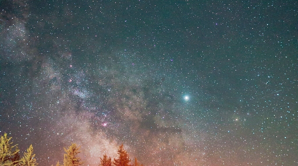 Most of the time car lights ruin an astro photo. Sometimes they add something more to it. I actually like how this one car’s headlights lit up the scene of the Milky Way rising over the evergreens just outside the entrance to the Jackson Hole/ Snake River KOA. #nature #milkyway #koa #wyoming #canon #teamcanon