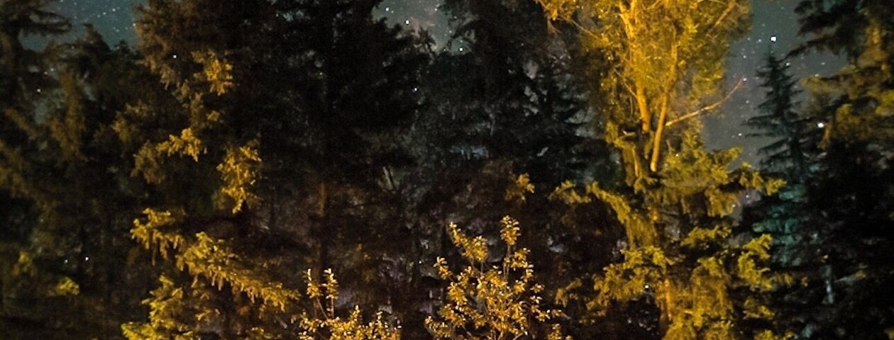 Una tienda de campaña bajo un cielo estrellado con un bosque al fondo.