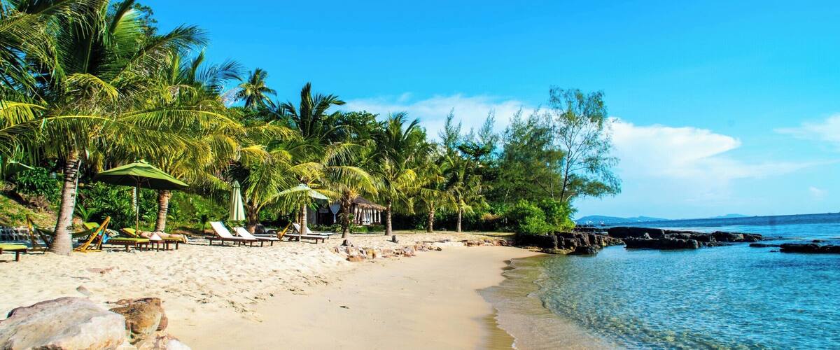 A sandy beach with palm trees, lounge chairs, and a clear blue sky.