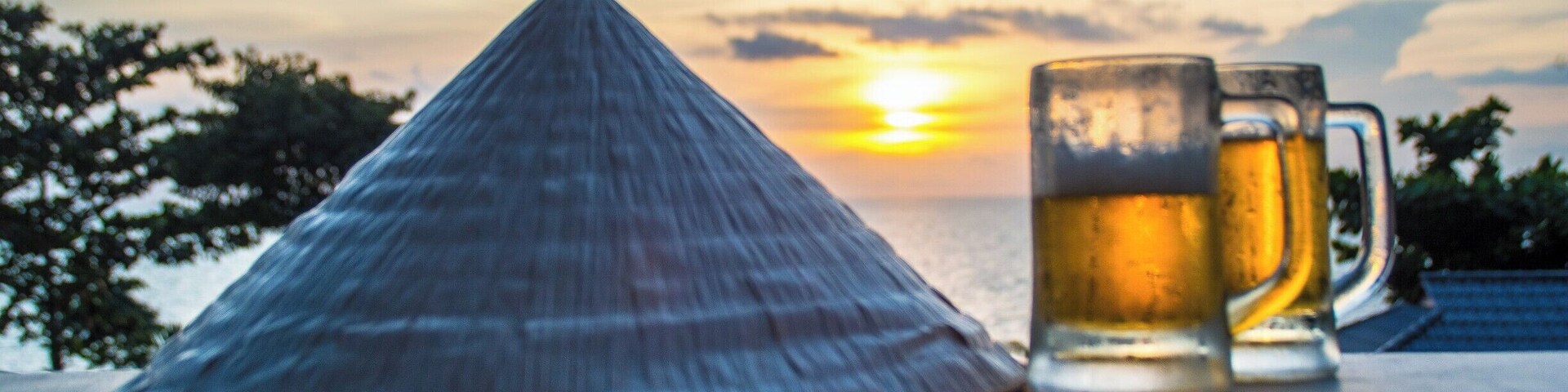 A conical hat, two beer mugs, and a sunset over water.