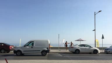 Cactus Bar great spot for first morning of the holiday after overnight flight