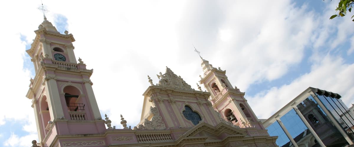 Salta featuring heritage architecture, zoo animals and a church or cathedral