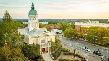 A historic building with a clock tower and dome, surrounded by trees and a street with cars.