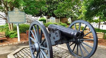 I'm sure it seemed like a good idea at the time, but it was short lived for obvious reasons. How can you fire both barrels at the same time?