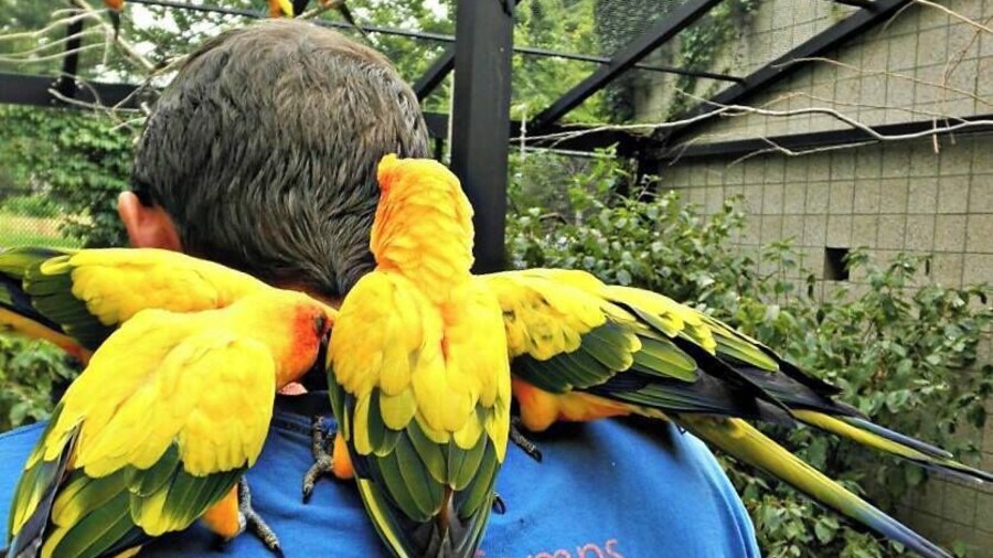 One of the best aviaries I've been to! Located in Liberty Park, don't miss a chance to get up close and personal with their bird encounters and amazing bird shows!
