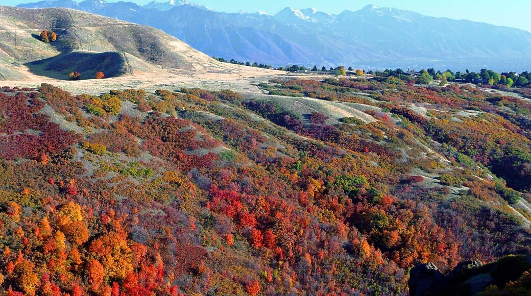 Fall in Salt Lake City, UT is a beautiful place to be. #hiking #fall