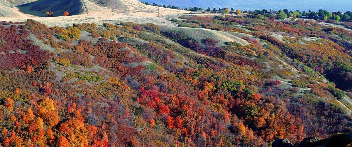 Fall in Salt Lake City, UT is a beautiful place to be. #hiking #fall