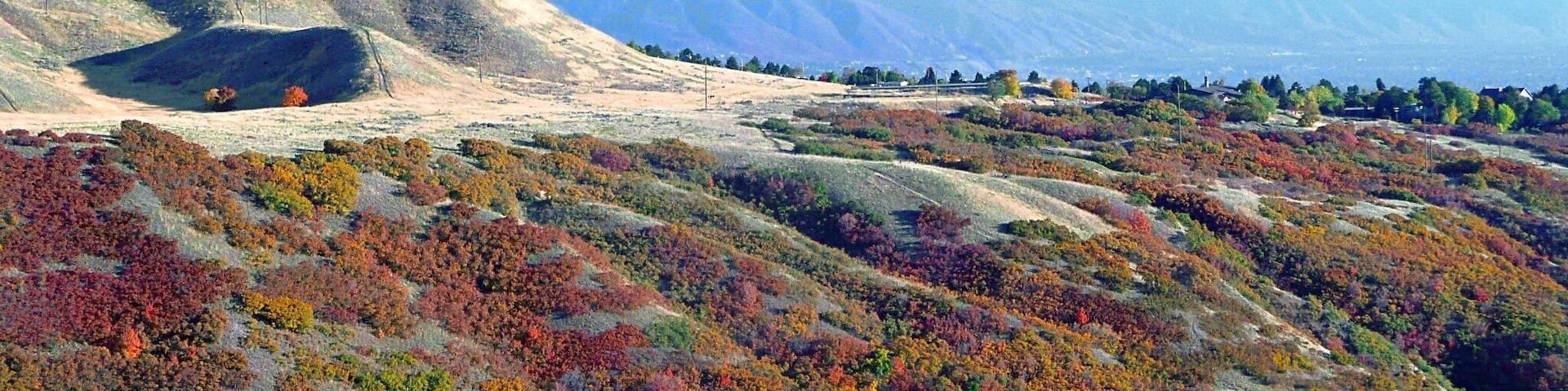 Fall in Salt Lake City, UT is a beautiful place to be. #hiking #fall