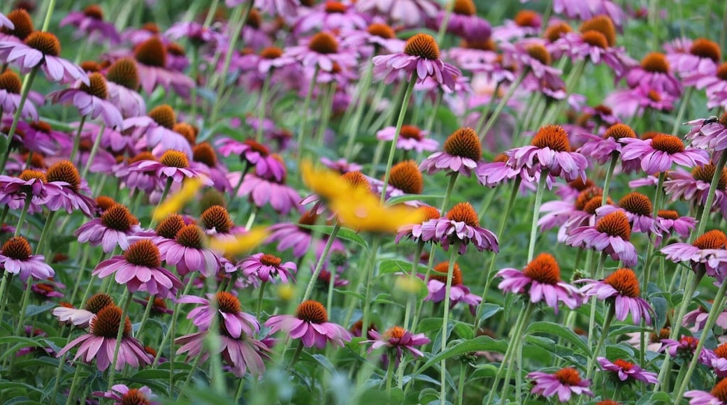 #picturelinepictureoftheday #instaweatherpro #nationalgeographic #utahlife #utahstate #utahtravels #utahcollective #pictureoftheday #picture_to_keep #pictureline #weather #slcphotoproject #slcphotographer #good4utah #picturelinedrones
#outdoorphotography #igutah #wowutah #kutv2news #LiveElevated #beaUTAHful #visitutah #vscocam #weatherchannel #ItsAmazingOutThere #utahgram #weatherlive #weathernation