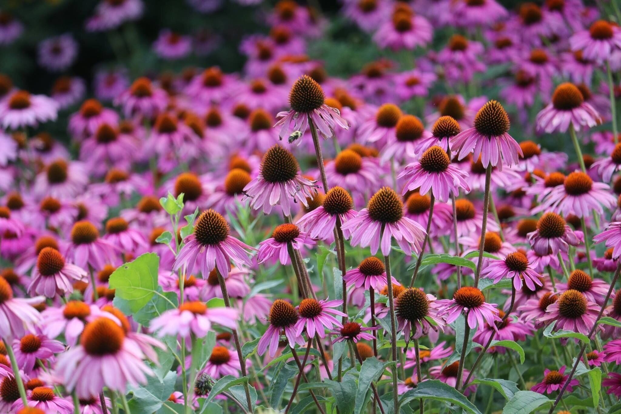 #picturelinepictureoftheday #instaweatherpro  #nationalgeographic  #utahlife #utahstate #utahtravels #utahcollective #pictureoftheday #picture_to_keep  #pictureline #weather #slcphotoproject #slcphotographer #good4utah  #picturelinedrones
#outdoorphotography #igutah #wowutah #kutv2news #LiveElevated #beaUTAHful #visitutah  #vscocam #weatherchannel #ItsAmazingOutThere #utahgram  #weatherlive #weathernation 