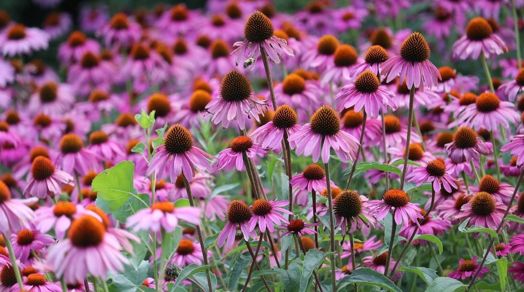 #picturelinepictureoftheday #instaweatherpro #nationalgeographic #utahlife #utahstate #utahtravels #utahcollective #pictureoftheday #picture_to_keep #pictureline #weather #slcphotoproject #slcphotographer #good4utah #picturelinedrones
#outdoorphotography #igutah #wowutah #kutv2news #LiveElevated #beaUTAHful #visitutah #vscocam #weatherchannel #ItsAmazingOutThere #utahgram #weatherlive #weathernation